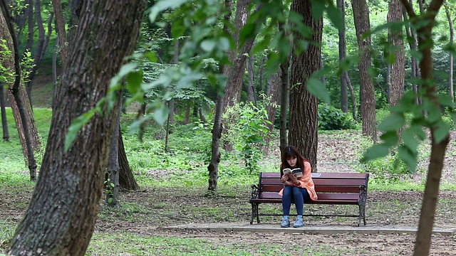 一名女子在汉城的朝鲜王朝国王墓公园看书视频素材