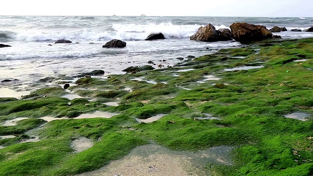 黄昏的海滩视频素材