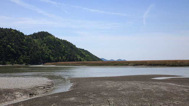 顺天湾生态公园视频素材