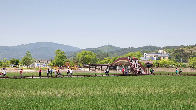 在顺天湾生态公园的游客视频素材