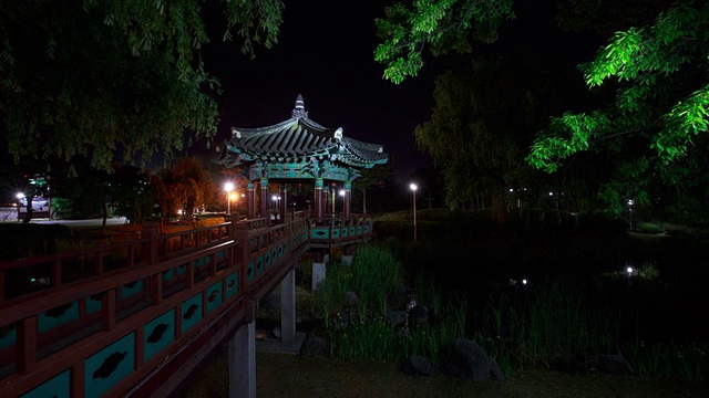 三路交叉口公园夜景视频素材