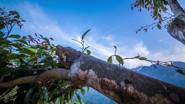 Doi Luang 清道山视频素材