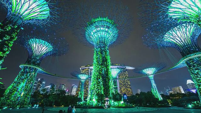 T/L Gardens By The Bay Supertrees灯光秀与滨海湾金沙后面-新加坡视频素材