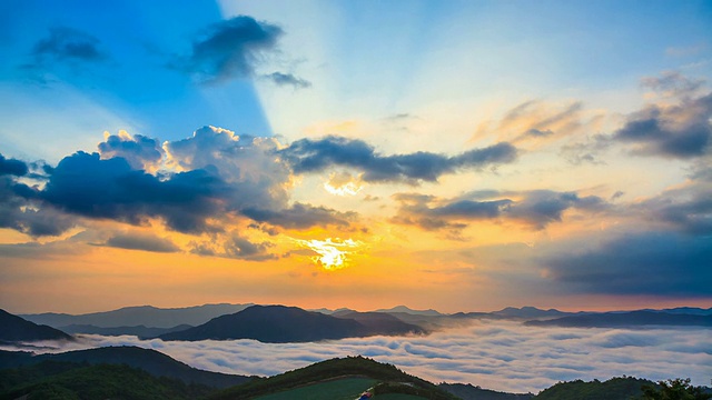 韩国江原道江陵市安坂德村日出时的高原白菜田景观/ WS T/L视频素材