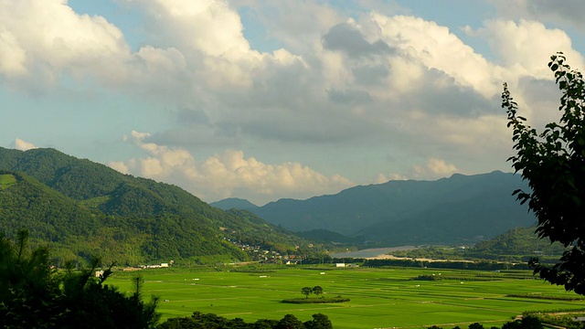 韩国全罗南道万道岛的田野和乡村景观WS T/L视频素材