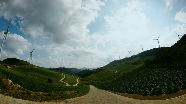 韩国江原道，安万德，LS T/L高原大白菜田及风力涡轮机景观视频素材