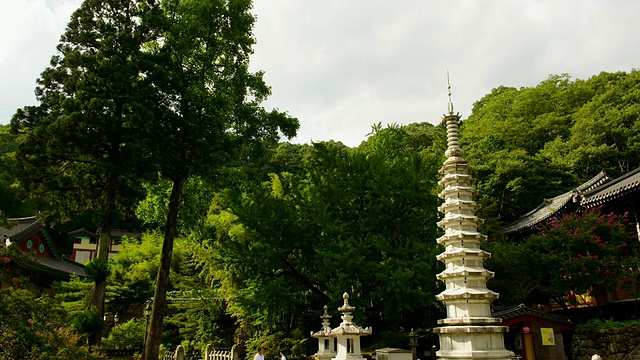 MS T/L双缸寺石塔拍摄/河洞，庆尚南道，韩国视频素材