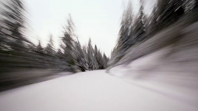 T/L, POV在美国内华达山脉/加利福尼亚的一条积雪覆盖的森林道路上行驶视频素材