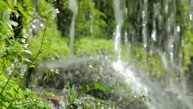 在吉日三国家山公园，苔藓覆盖的斯尔比丹瀑布视频素材