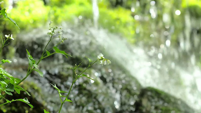 在吉日三国家山公园，苔藓覆盖的斯尔比丹瀑布视频素材