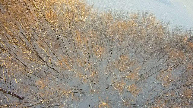 空中的积雪覆盖的景观视频素材