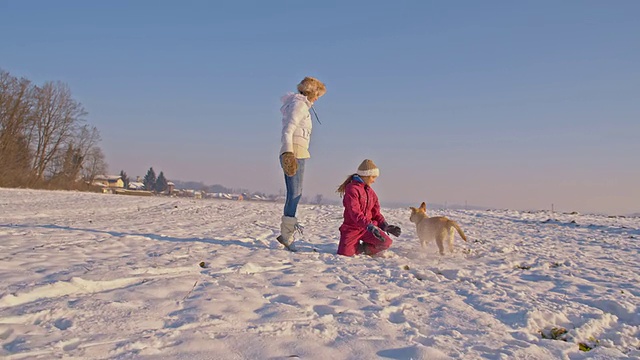 在雪中与小狗玩耍视频素材