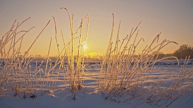 雪中的乡村视频素材