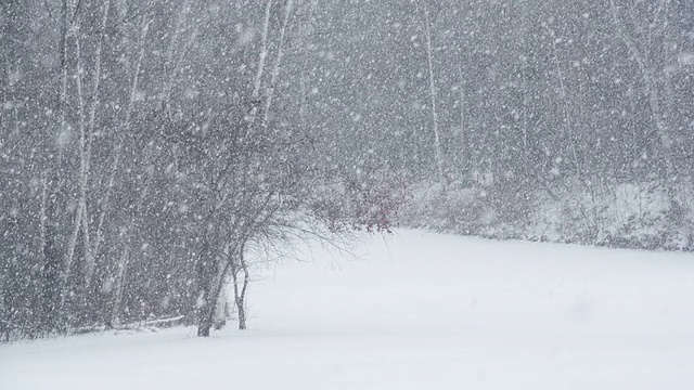 慢镜头《雪灾》视频下载