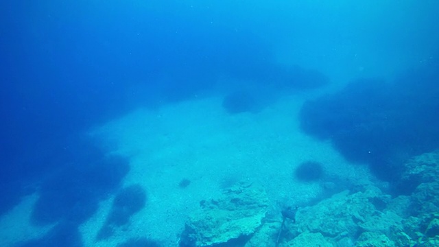 自由潜水员用鱼叉在蓝色的海洋中捕鱼视频素材