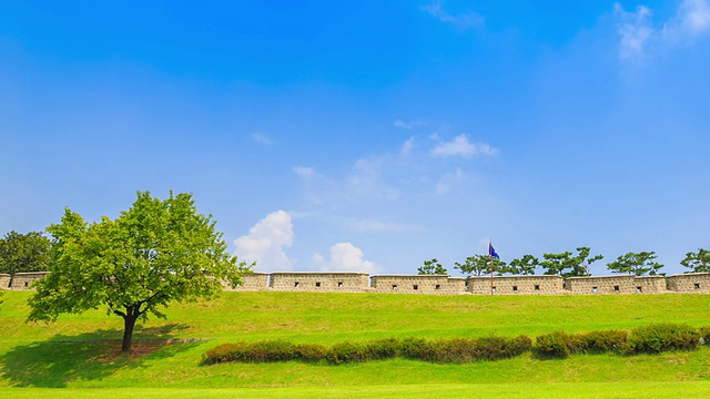 Suwonseong(城堡)的一棵树和草坪视频素材