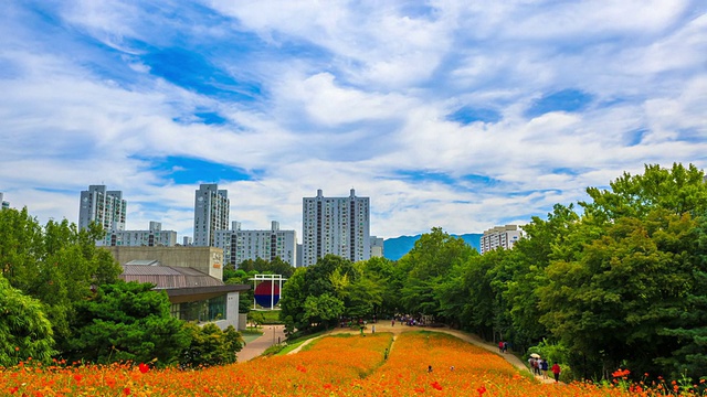 秋天的奥林匹克公园花坛视频素材