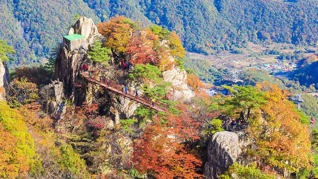 大墩山桥秋景视频素材