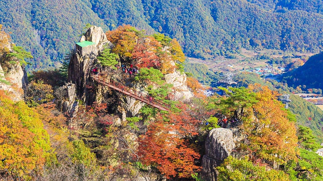 大墩山桥秋景视频素材