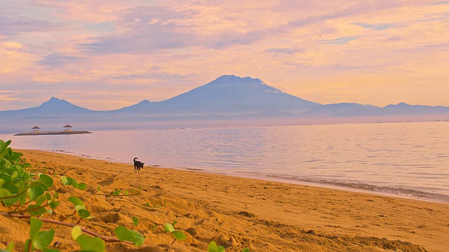 古农巴图尔火山景观视频素材