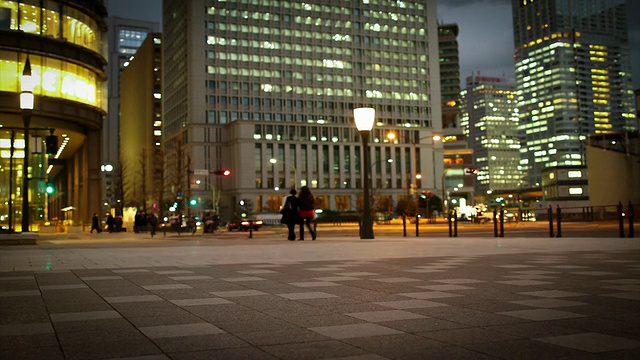 夜晚时光流逝，东京的行人视频素材