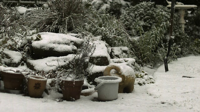 雪花在花园里飘落，慢镜头。视频素材