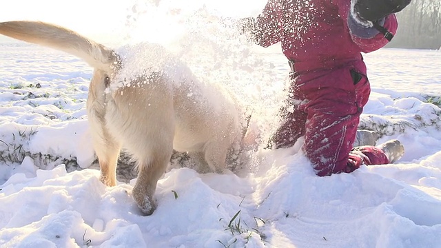 小女孩在雪地里和小狗玩视频素材