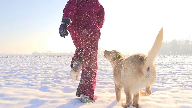 慢动作女孩和她的小狗在雪中奔跑视频素材