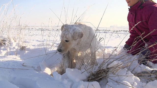 慢动作女孩和小狗在雪中玩耍视频素材