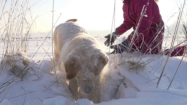 慢动作女孩和小狗在雪中玩耍视频素材