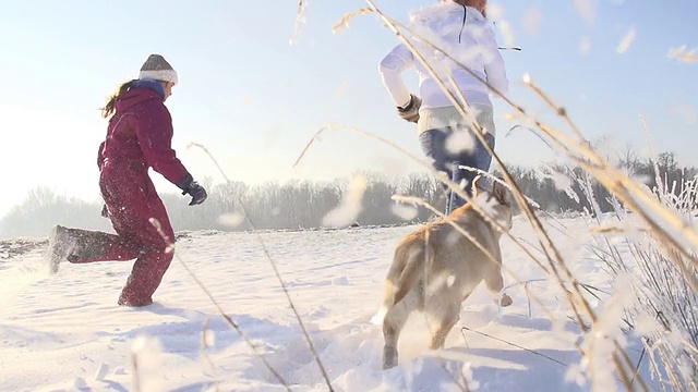 妈妈和女儿带着小狗在雪中奔跑视频素材