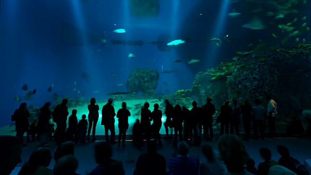 巴星球水族馆视频素材