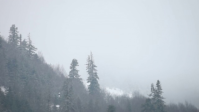 高清:冬季景观视频素材