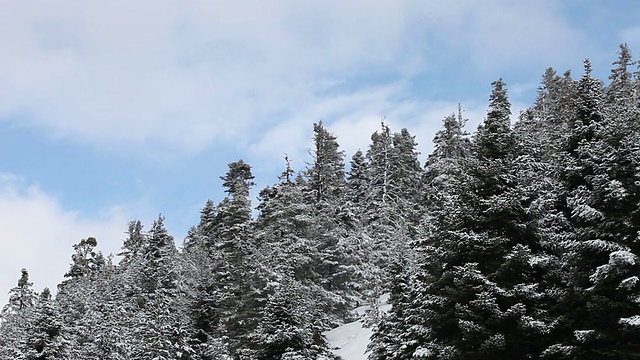 高清:冬季景观视频素材