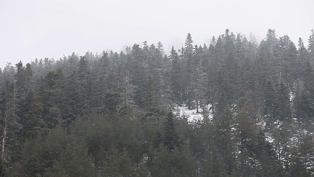 高清:冬季景观视频素材