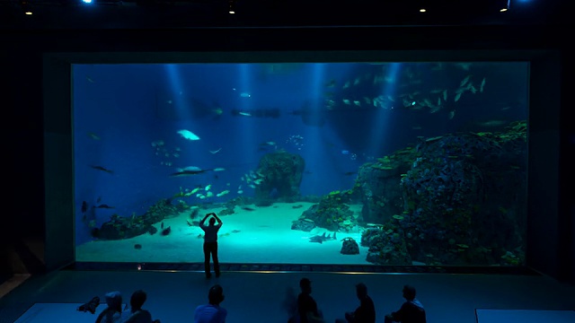 巴星球水族馆T/L视频素材