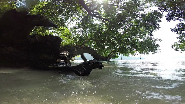 热带海滩上碧蓝的海水和蓝天视频素材