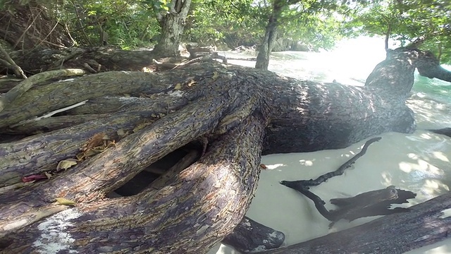 热带海滩上碧蓝的海水和蓝天视频素材