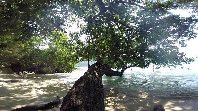 热带海滩上碧蓝的海水和蓝天视频素材