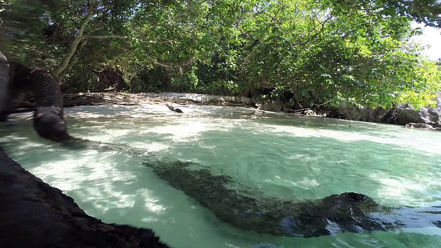 热带海滩上碧蓝的海水和蓝天视频素材