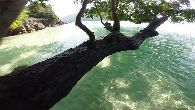 热带海滩上碧蓝的海水和蓝天视频素材