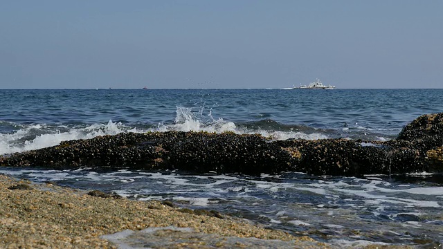 东明港的海景视频素材