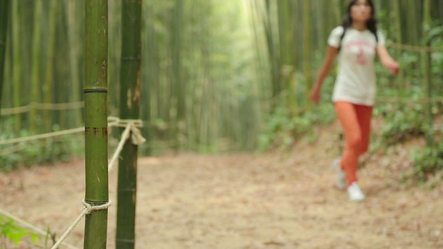 一个女人在竹林里散步视频素材