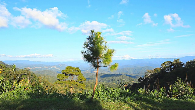 山和森林视频素材