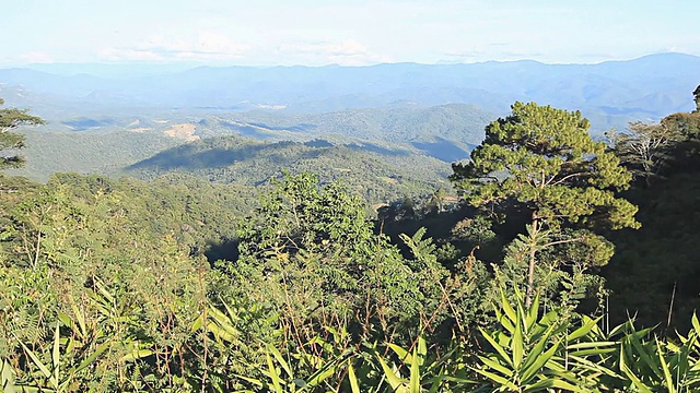 山和森林视频素材