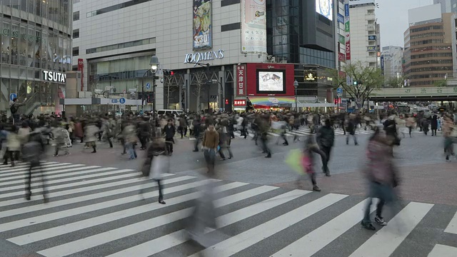 T - L东京视频素材