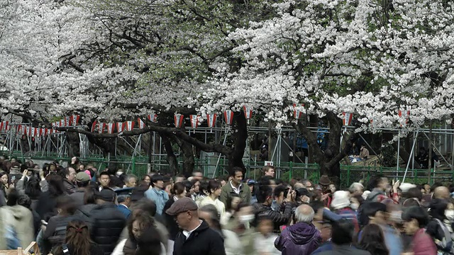 T - L东京视频素材