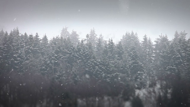 高清:下雪的冬天的风景视频素材