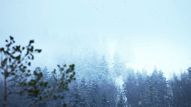 高清:下雪的冬天的风景视频素材