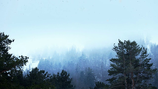 高清:下雪的冬天的风景视频素材